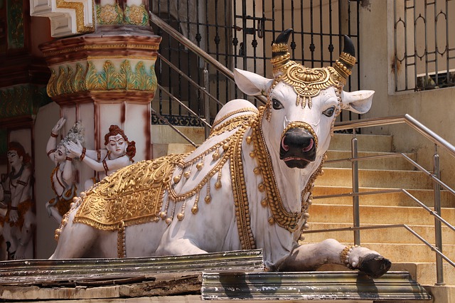 Сурабхи-символ коровы Мечтаний